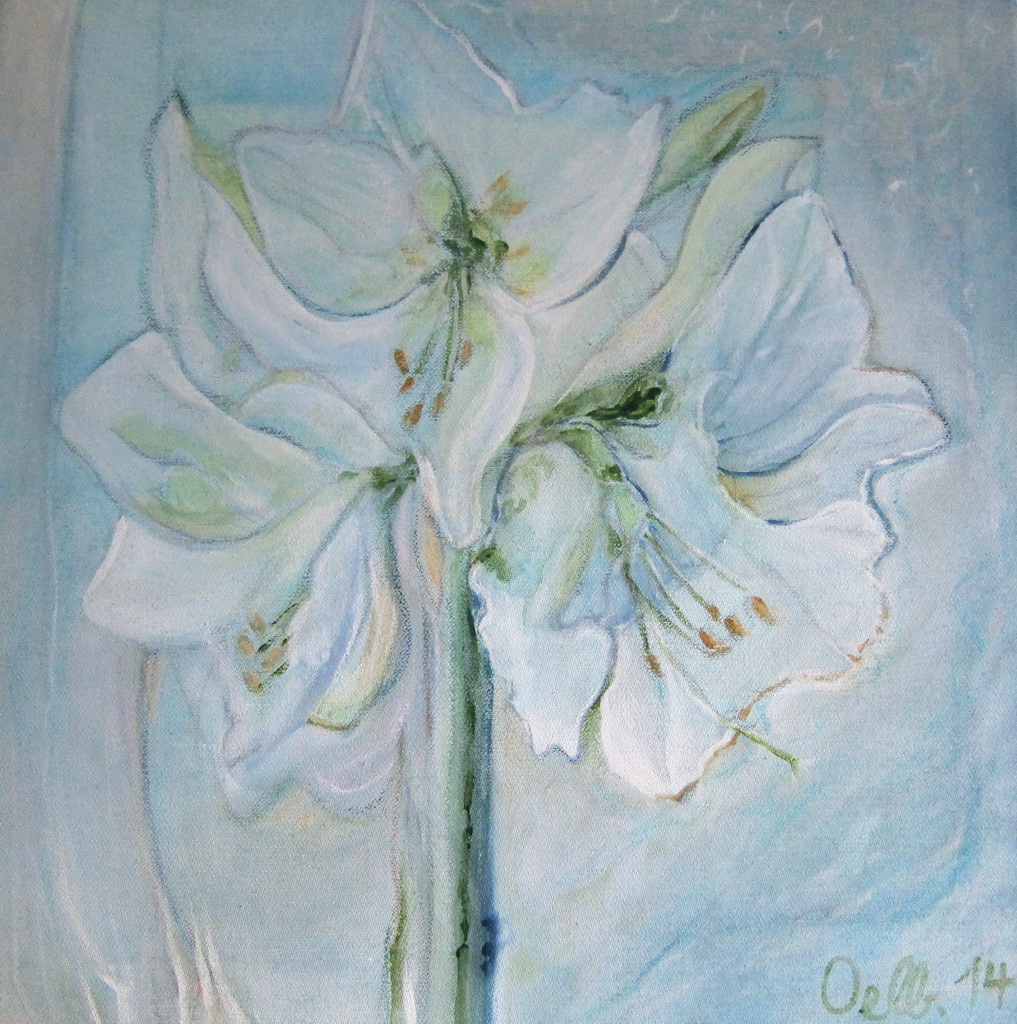 Amaryllis 1